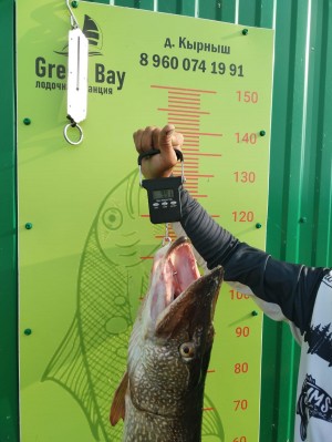 Организация рыбалки на ПВХ лодке